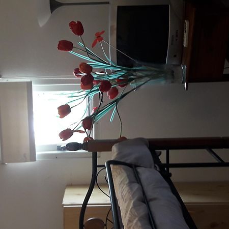 Palmita Hotel Hostel Oranjestad Esterno foto