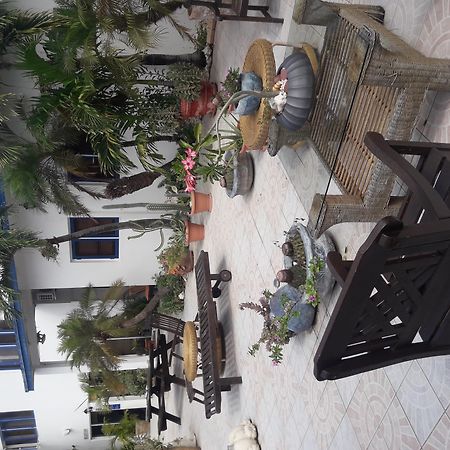 Palmita Hotel Hostel Oranjestad Esterno foto
