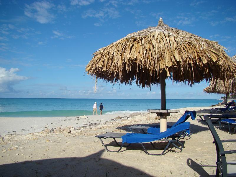 Palmita Hotel Hostel Oranjestad Esterno foto