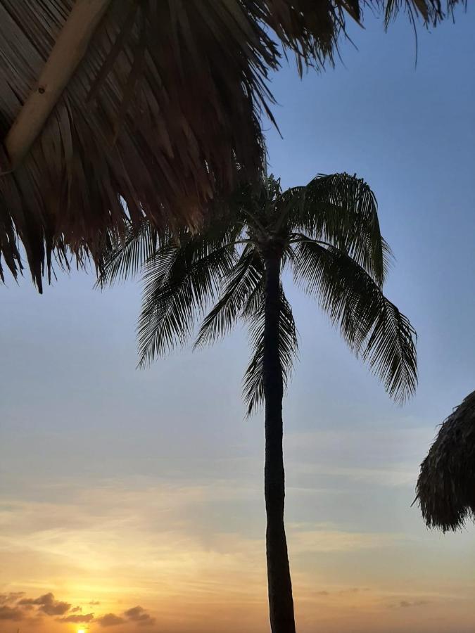 Palmita Hotel Hostel Oranjestad Esterno foto