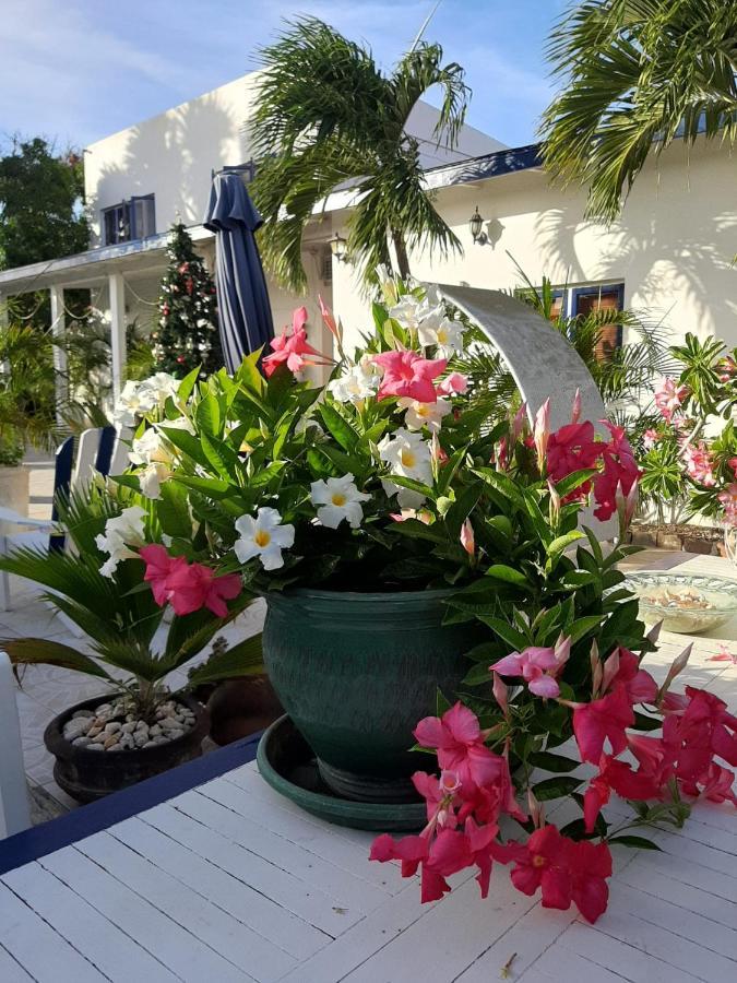 Palmita Hotel Hostel Oranjestad Esterno foto