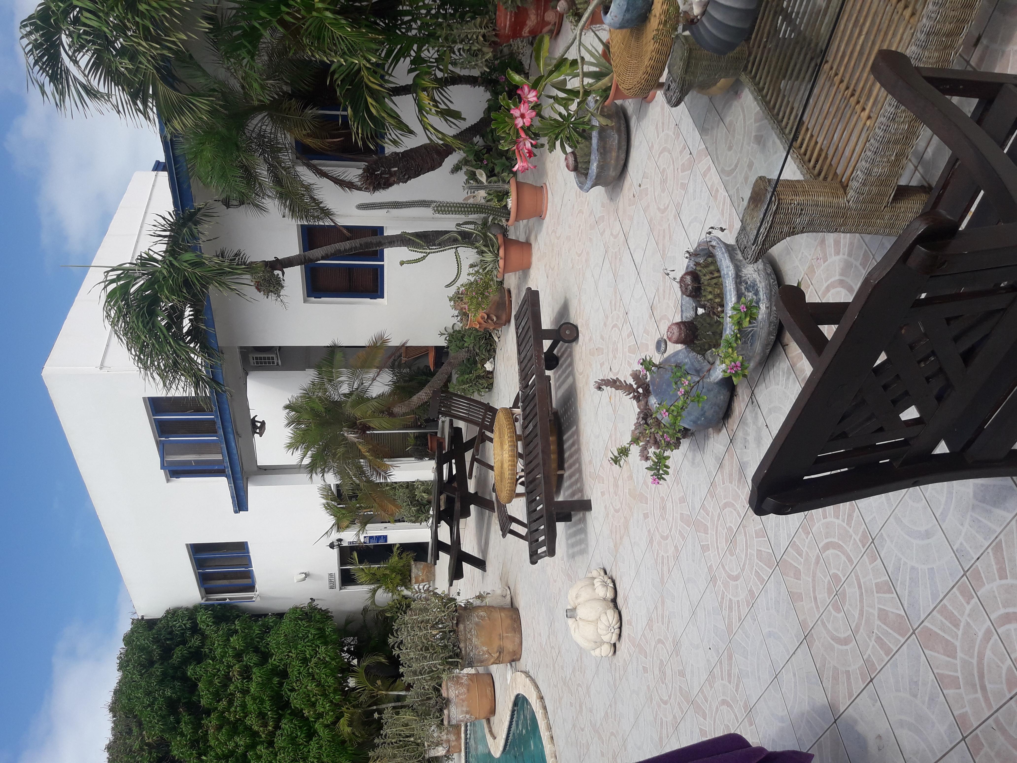 Palmita Hotel Hostel Oranjestad Esterno foto