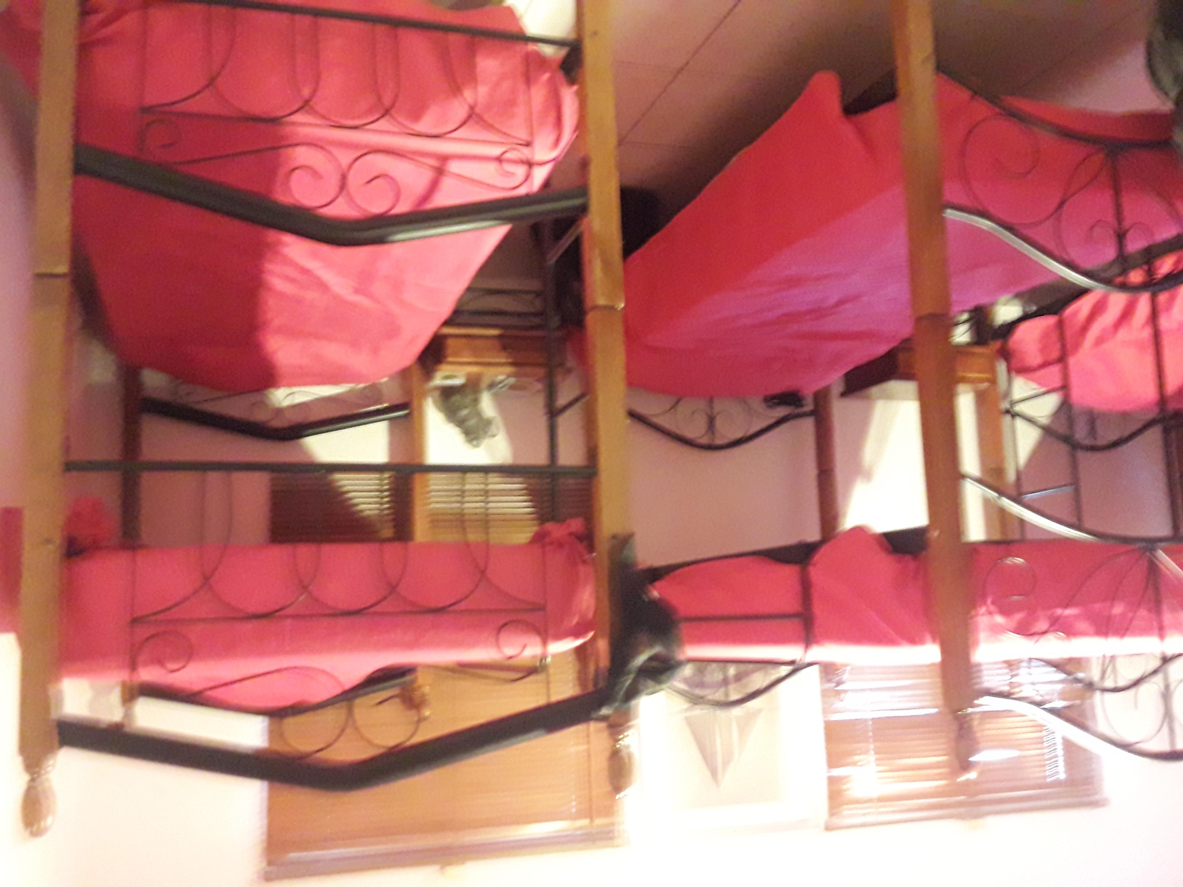 Palmita Hotel Hostel Oranjestad Esterno foto