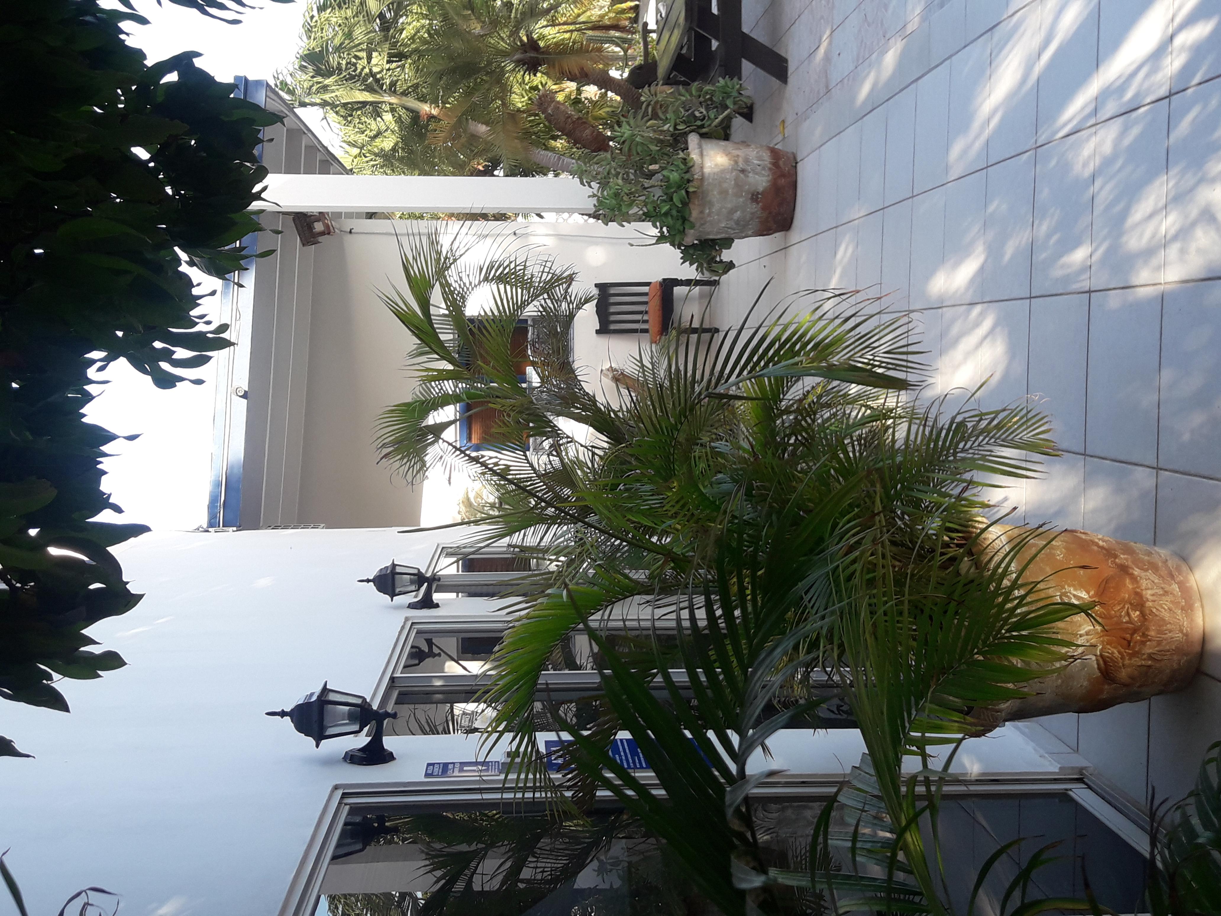 Palmita Hotel Hostel Oranjestad Esterno foto