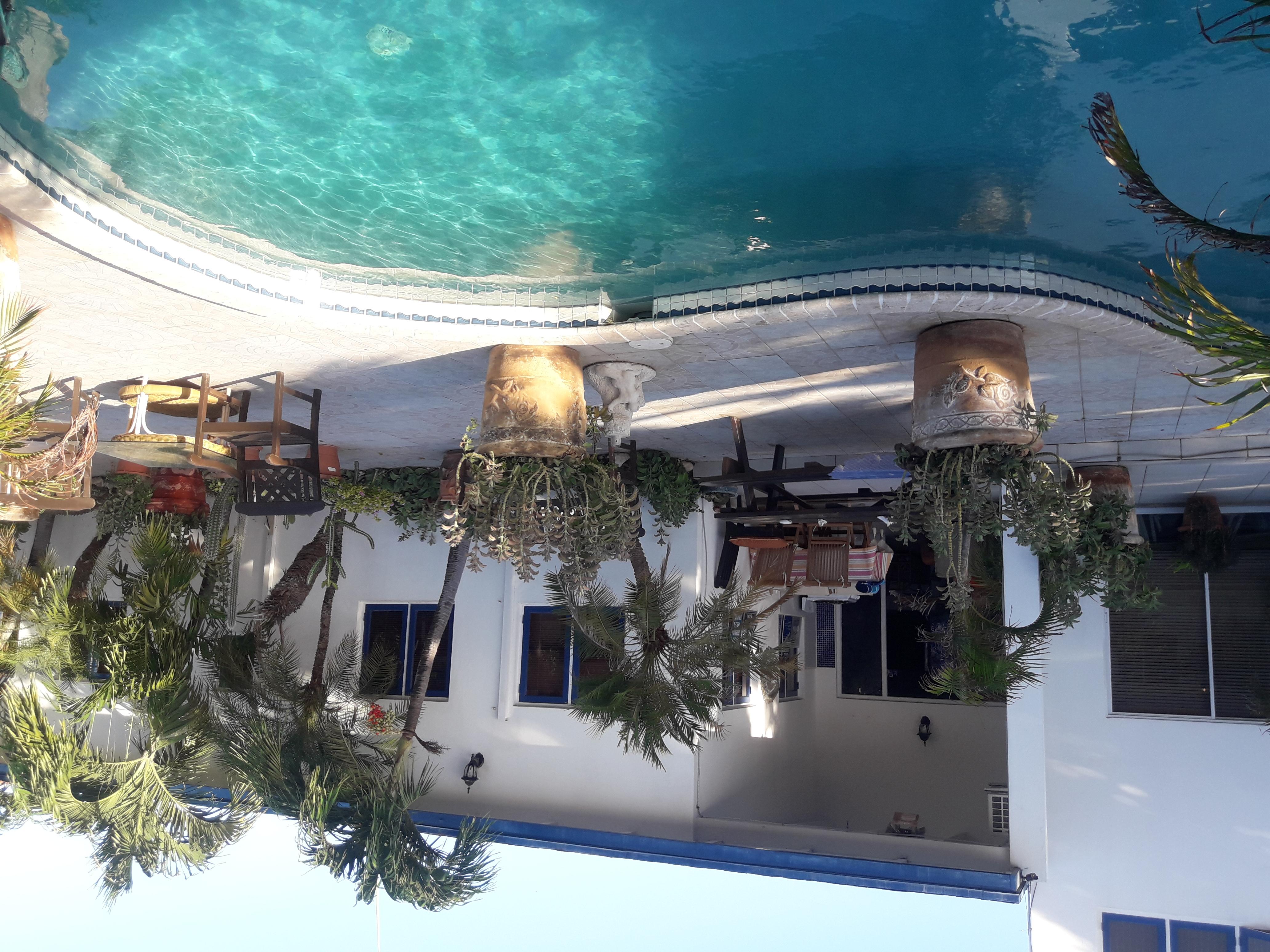Palmita Hotel Hostel Oranjestad Esterno foto