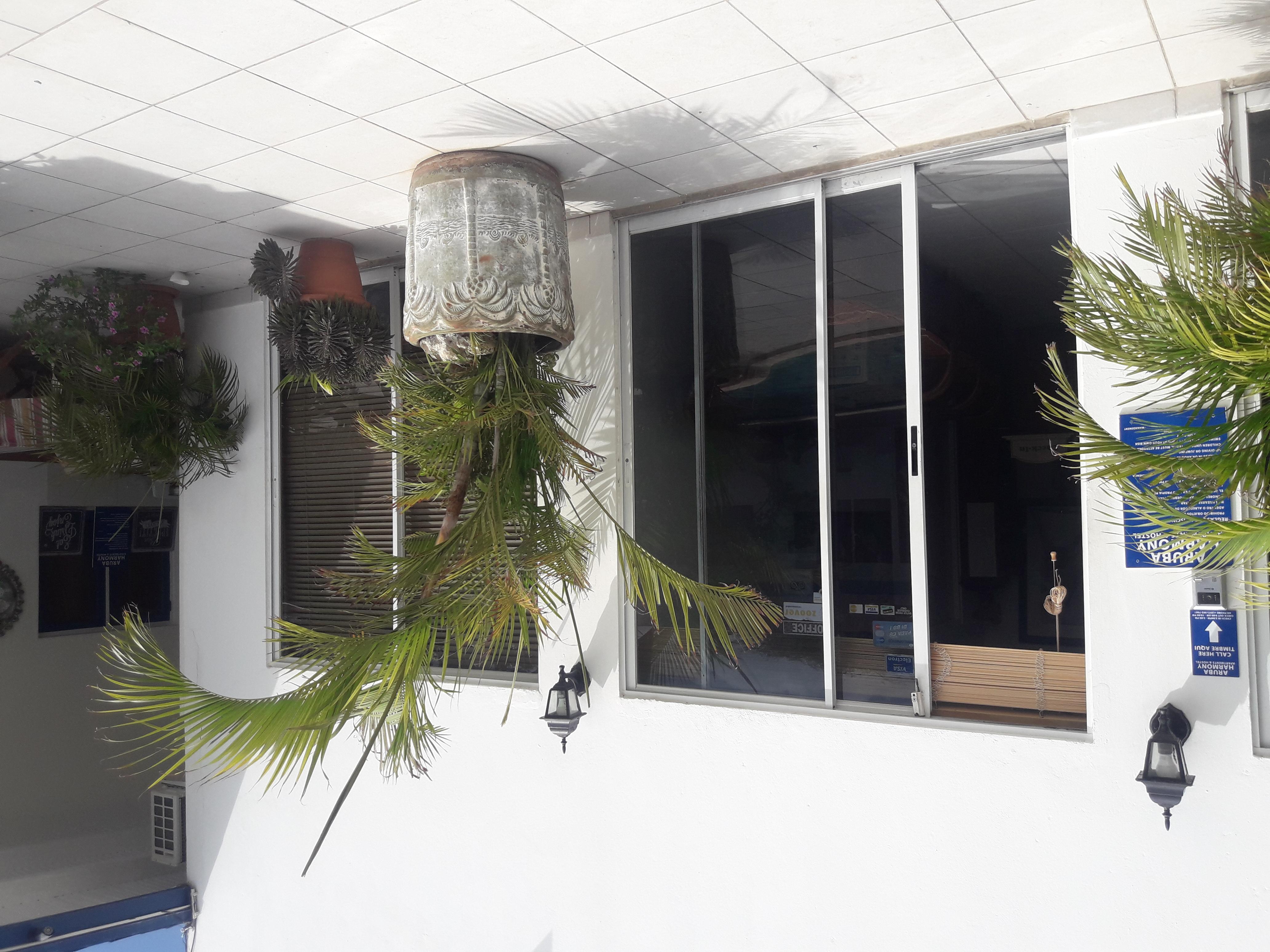Palmita Hotel Hostel Oranjestad Esterno foto