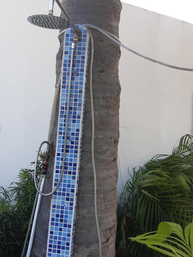 Palmita Hotel Hostel Oranjestad Esterno foto